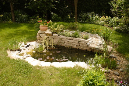 créer un bassin dans son jardin