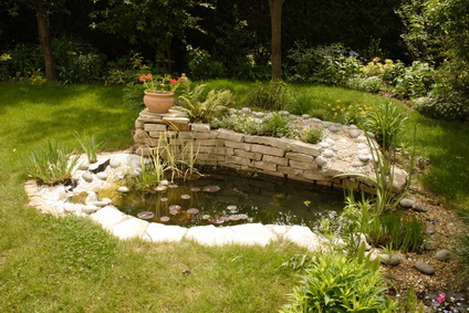 comment faire un bassin dans le jardin